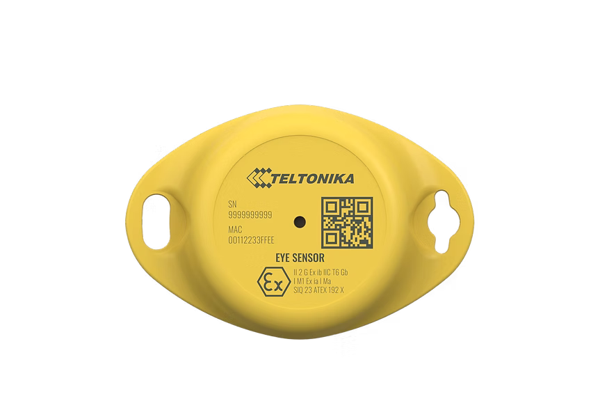 EYE Sensor ATEX_top_2160x1440_1.png